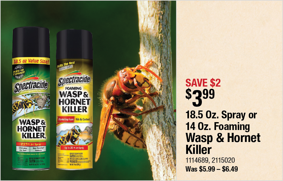 18.5 Oz. Spray or 14 Oz. Foaming Wasp & Hornet Killer